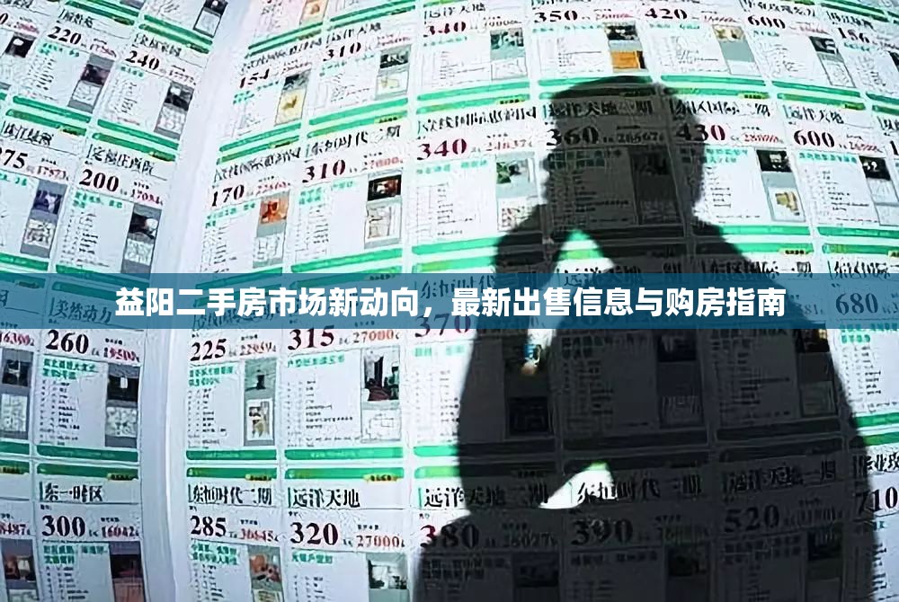 益陽二手房市場新動(dòng)向，最新出售信息與購房指南