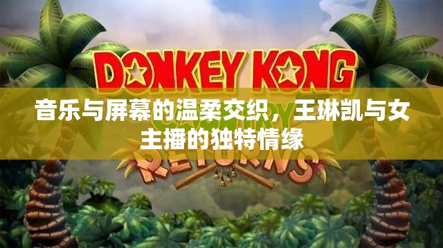 音樂(lè)與屏幕的溫柔交織，王琳凱與女主播的獨(dú)特情緣