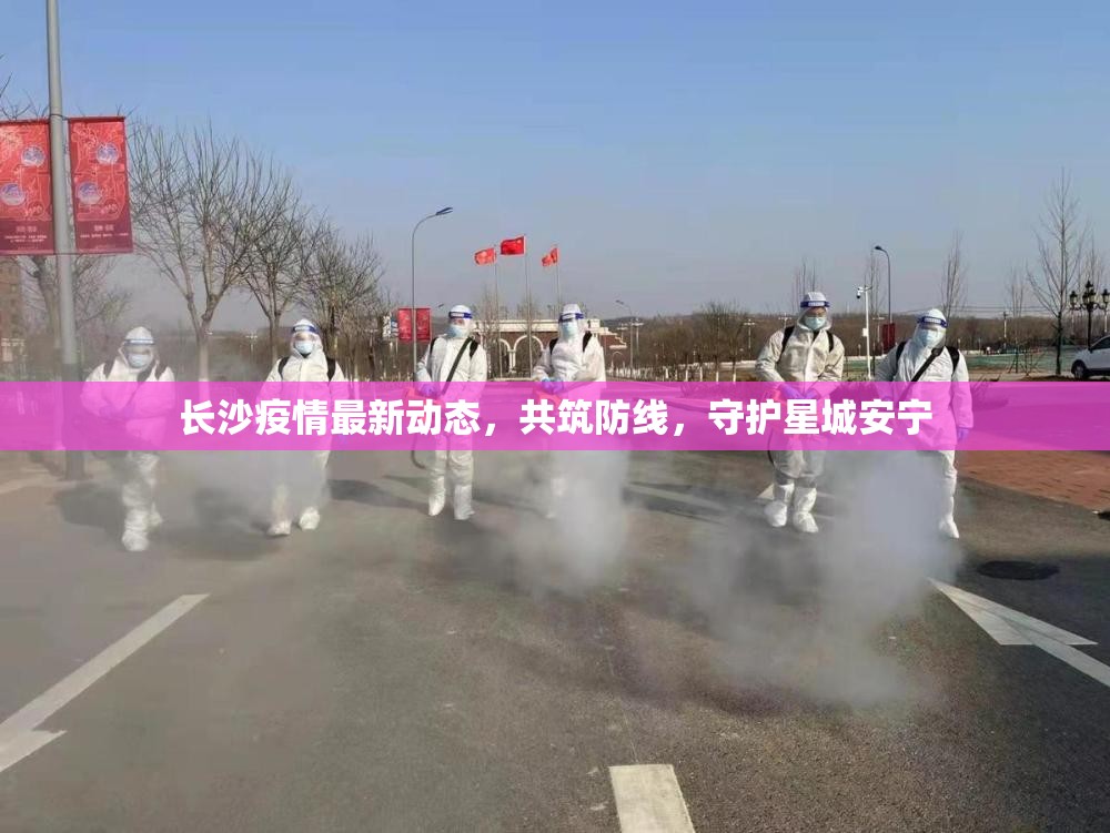 長沙疫情最新動態(tài)，共筑防線，守護(hù)星城安寧