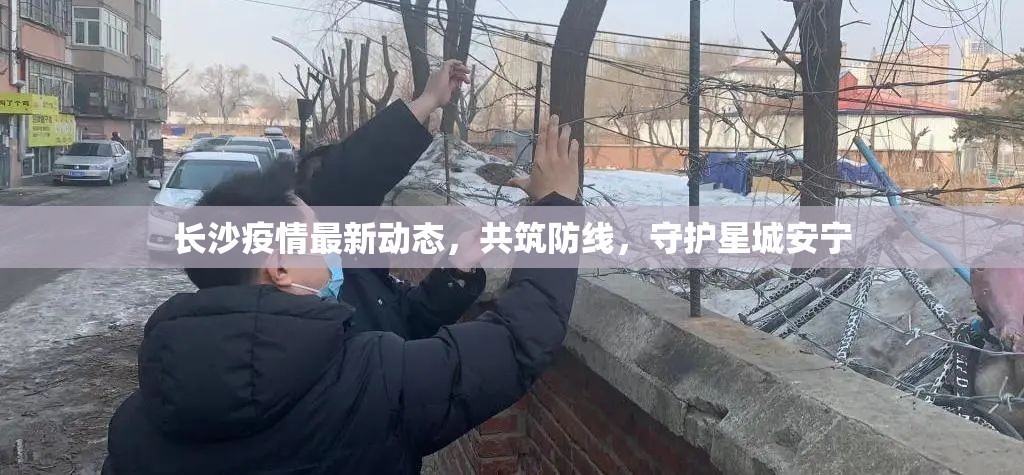 長沙疫情最新動態(tài)，共筑防線，守護(hù)星城安寧