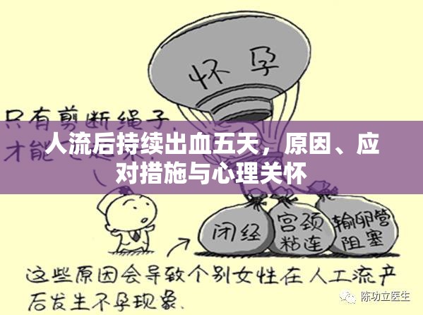 人流后持續(xù)出血五天，原因、應(yīng)對措施與心理關(guān)懷