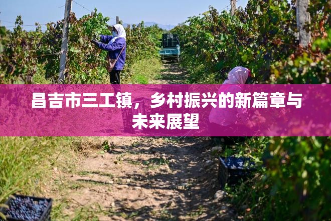 昌吉市三工鎮(zhèn)，鄉(xiāng)村振興的新篇章與未來(lái)展望