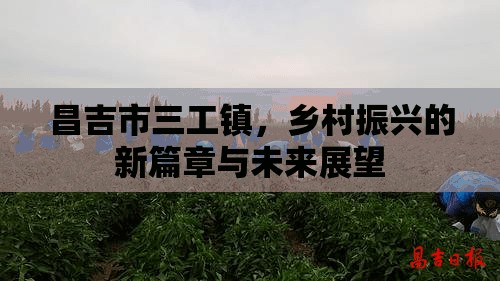 昌吉市三工鎮(zhèn)，鄉(xiāng)村振興的新篇章與未來(lái)展望