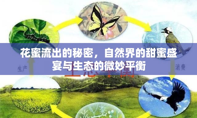 花蜜流出的秘密，自然界的甜蜜盛宴與生態(tài)的微妙平衡