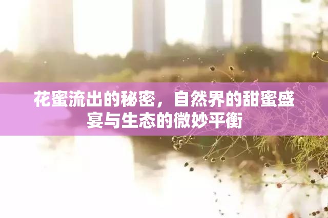 花蜜流出的秘密，自然界的甜蜜盛宴與生態(tài)的微妙平衡