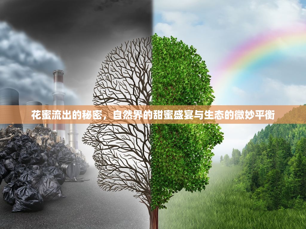 花蜜流出的秘密，自然界的甜蜜盛宴與生態(tài)的微妙平衡