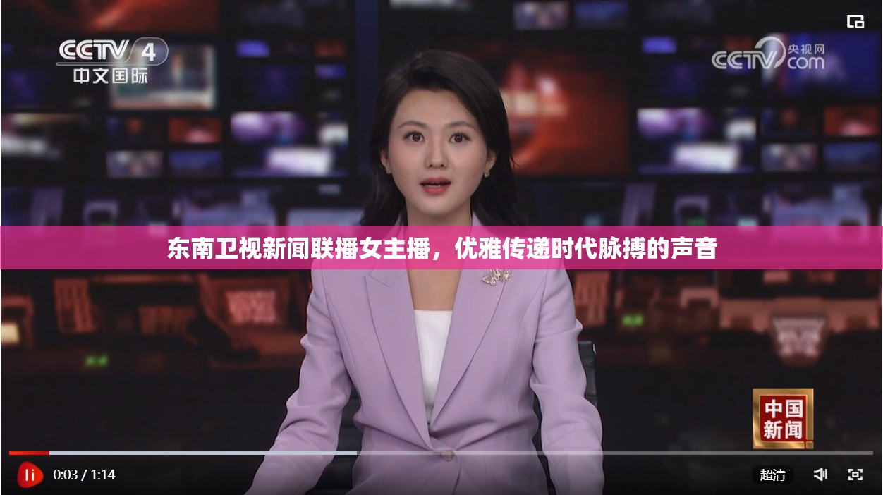 東南衛(wèi)視新聞聯(lián)播女主播，優(yōu)雅傳遞時代脈搏的聲音