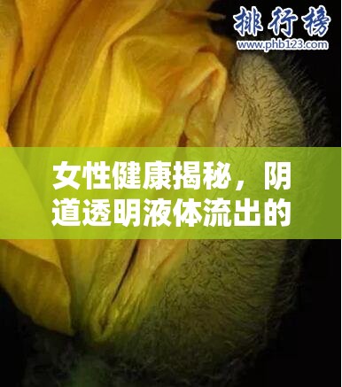 女性健康揭秘，陰道透明液體流出的真相