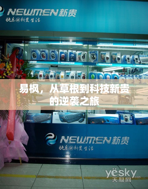 易楓，從草根到科技新貴的逆襲之旅