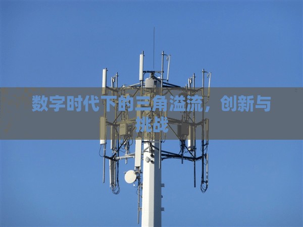 數(shù)字時(shí)代下的三角溢流，創(chuàng)新與挑戰(zhàn)