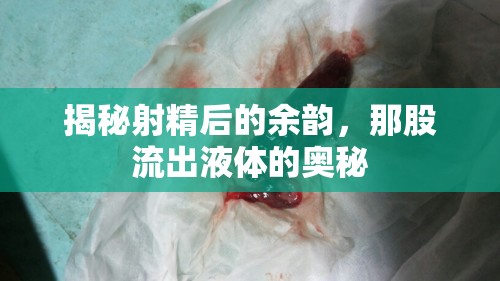揭秘射精后的余韻，那股流出液體的奧秘