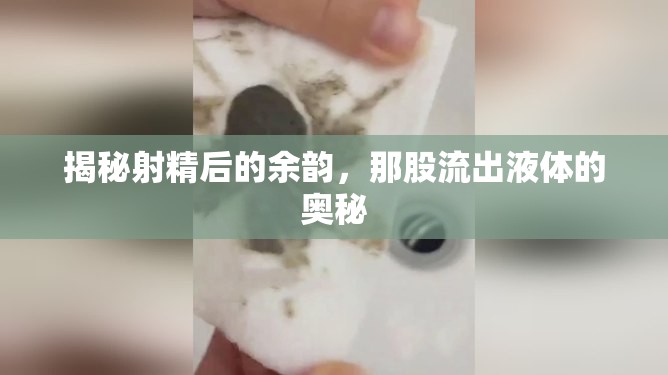 揭秘射精后的余韻，那股流出液體的奧秘