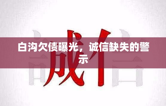 白溝欠債曝光，誠(chéng)信缺失的警示