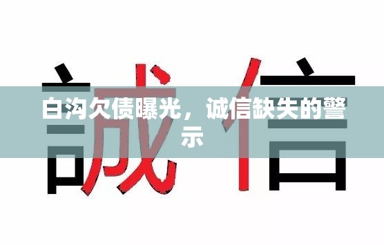 白溝欠債曝光，誠(chéng)信缺失的警示