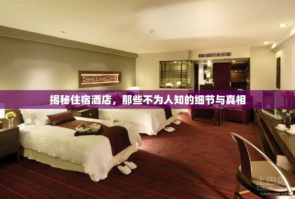 揭秘住宿酒店，那些不為人知的細節(jié)與真相