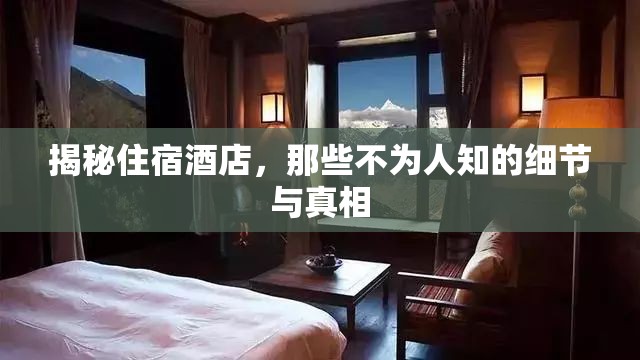 揭秘住宿酒店，那些不為人知的細節(jié)與真相