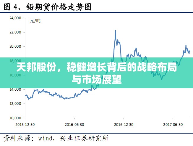 天邦股份，穩(wěn)健增長背后的戰(zhàn)略布局與市場展望