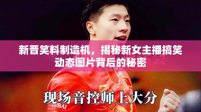新晉笑料制造機(jī)，揭秘新女主播搞笑動(dòng)態(tài)圖片背后的秘密