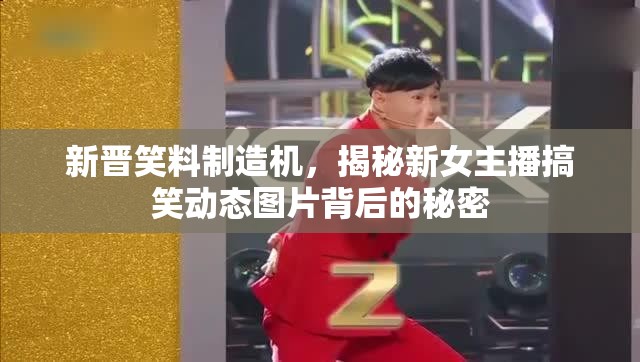 新晉笑料制造機(jī)，揭秘新女主播搞笑動(dòng)態(tài)圖片背后的秘密