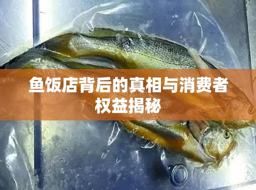 魚飯店背后的真相與消費(fèi)者權(quán)益揭秘