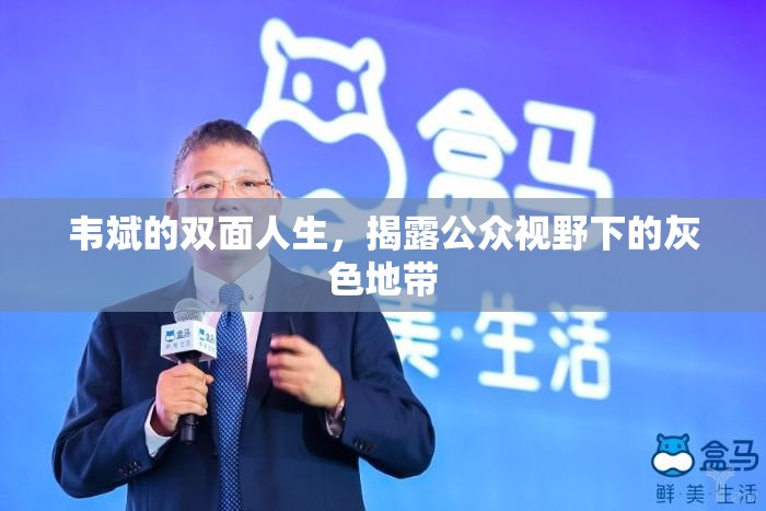 韋斌的雙面人生，揭露公眾視野下的灰色地帶