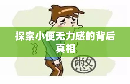 探索小便無(wú)力感的背后真相