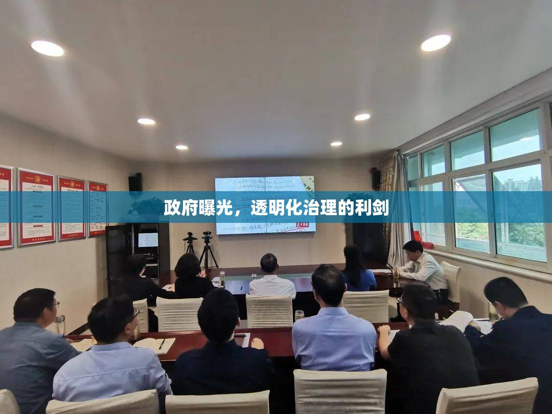 政府曝光，透明化治理的利劍