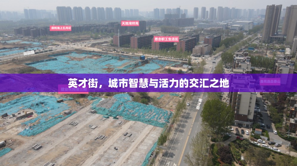 英才街，城市智慧與活力的交匯之地