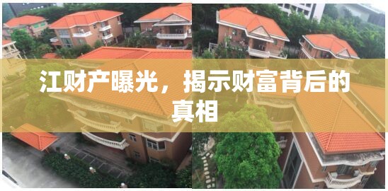 江財產(chǎn)曝光，揭示財富背后的真相