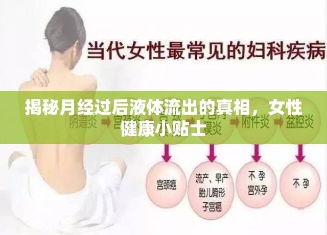 揭秘月經(jīng)過后液體流出的真相，女性健康小貼士