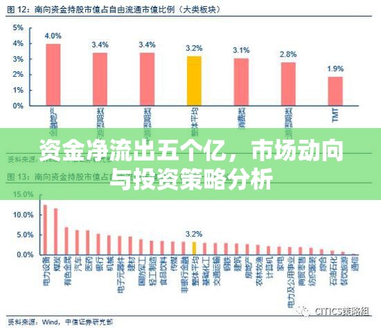 資金凈流出五個(gè)億，市場(chǎng)動(dòng)向與投資策略分析