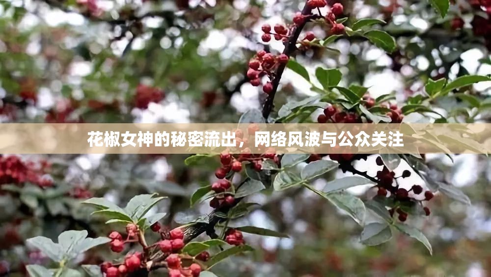 花椒女神的秘密流出，網(wǎng)絡(luò)風(fēng)波與公眾關(guān)注