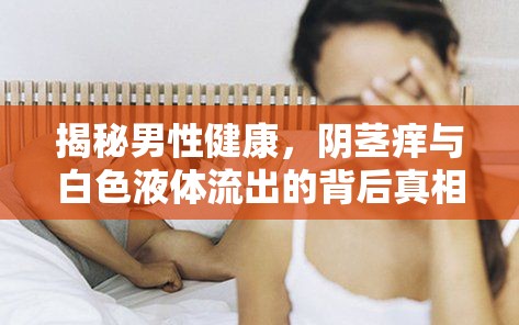 揭秘男性健康，陰莖癢與白色液體流出的背后真相