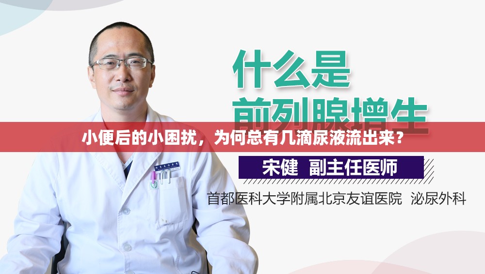 小便后的小困擾，為何總有幾滴尿液流出來？