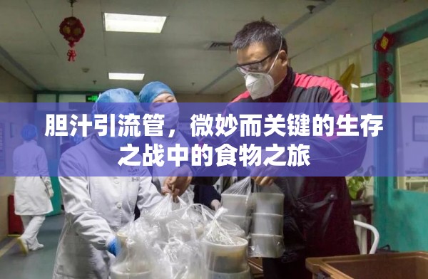 膽汁引流管，微妙而關(guān)鍵的生存之戰(zhàn)中的食物之旅