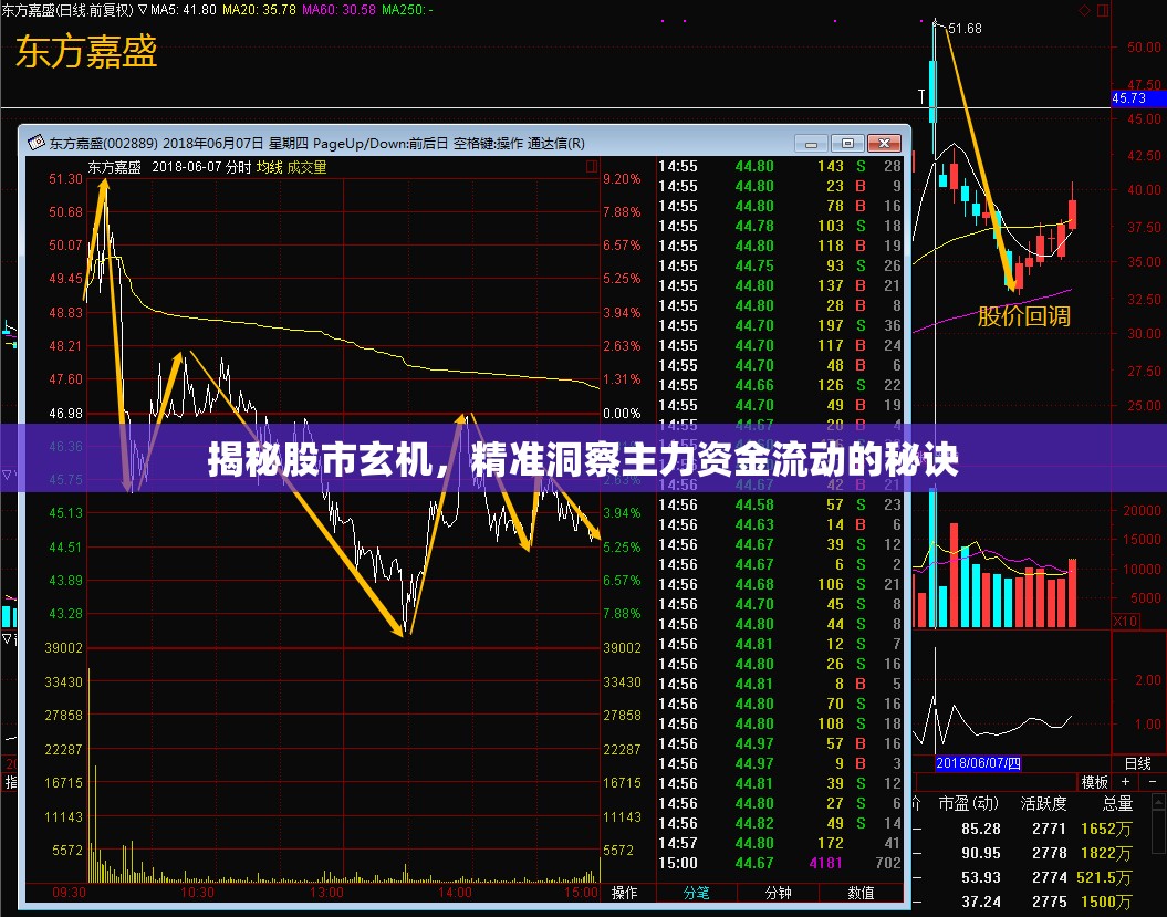 揭秘股市玄機(jī)，精準(zhǔn)洞察主力資金流動(dòng)的秘訣