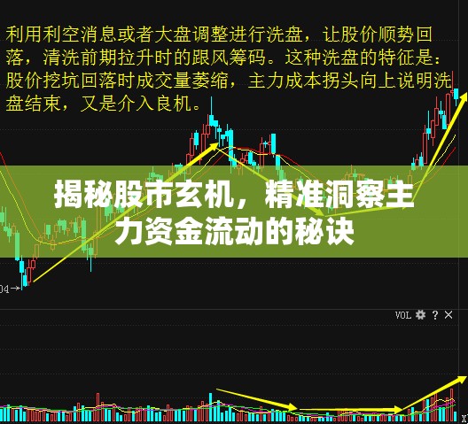 揭秘股市玄機(jī)，精準(zhǔn)洞察主力資金流動(dòng)的秘訣