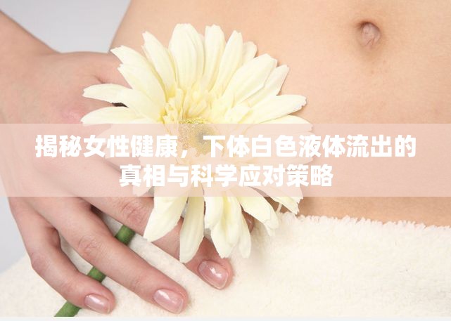揭秘女性健康，下體白色液體流出的真相與科學(xué)應(yīng)對策略