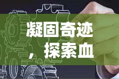 凝固奇跡，探索血流快速凝固的神秘機(jī)制
