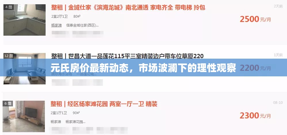 元氏房價(jià)最新動(dòng)態(tài)，市場波瀾下的理性觀察