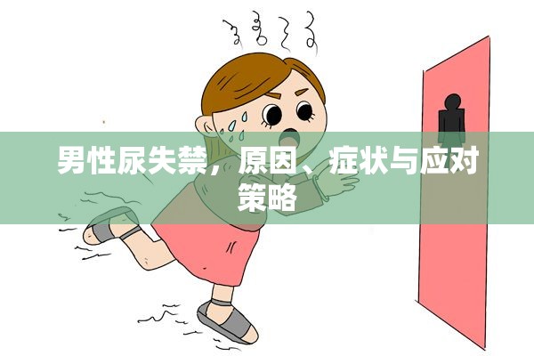 男性尿失禁，原因、癥狀與應(yīng)對策略