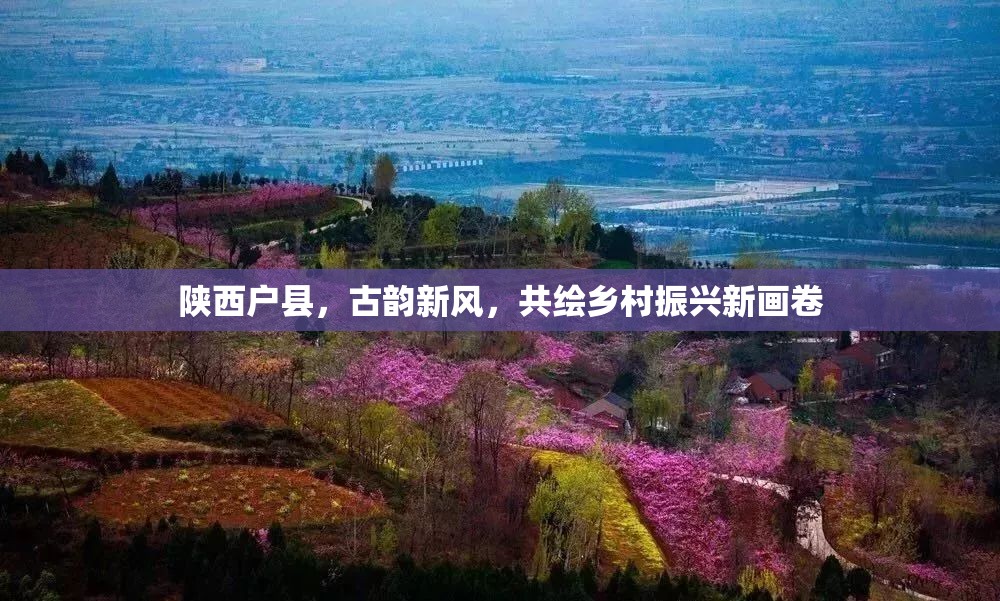 陜西戶縣，古韻新風(fēng)，共繪鄉(xiāng)村振興新畫卷