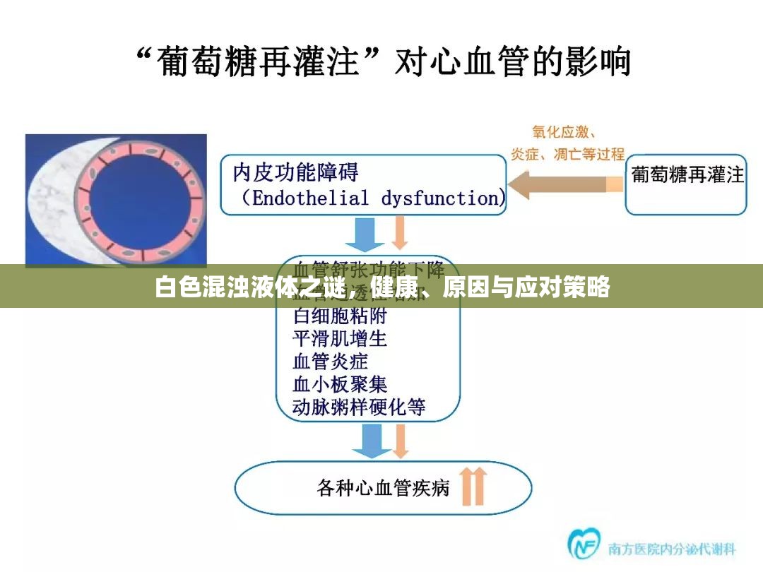 白色混濁液體之謎，健康、原因與應(yīng)對(duì)策略
