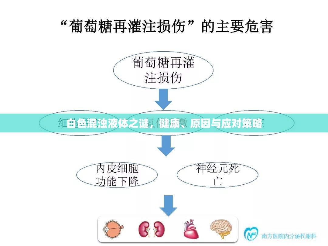 白色混濁液體之謎，健康、原因與應(yīng)對(duì)策略