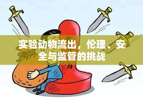 實(shí)驗(yàn)動(dòng)物流出，倫理、安全與監(jiān)管的挑戰(zhàn)