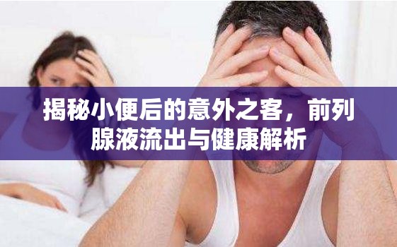 揭秘小便后的意外之客，前列腺液流出與健康解析
