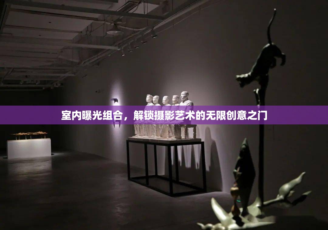 室內(nèi)曝光組合，解鎖攝影藝術的無限創(chuàng)意之門