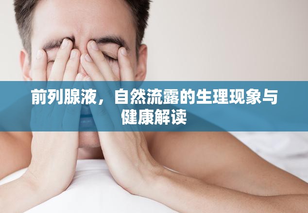 前列腺液，自然流露的生理現(xiàn)象與健康解讀