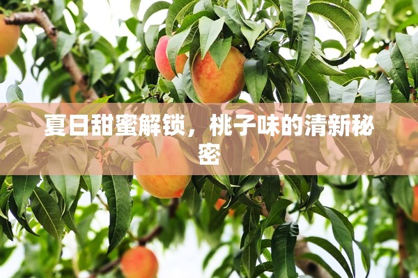夏日甜蜜解鎖，桃子味的清新秘密