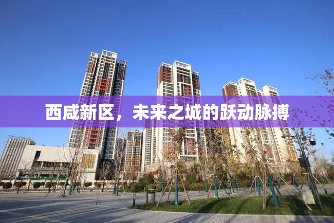 西咸新區(qū)，未來之城的躍動(dòng)脈搏